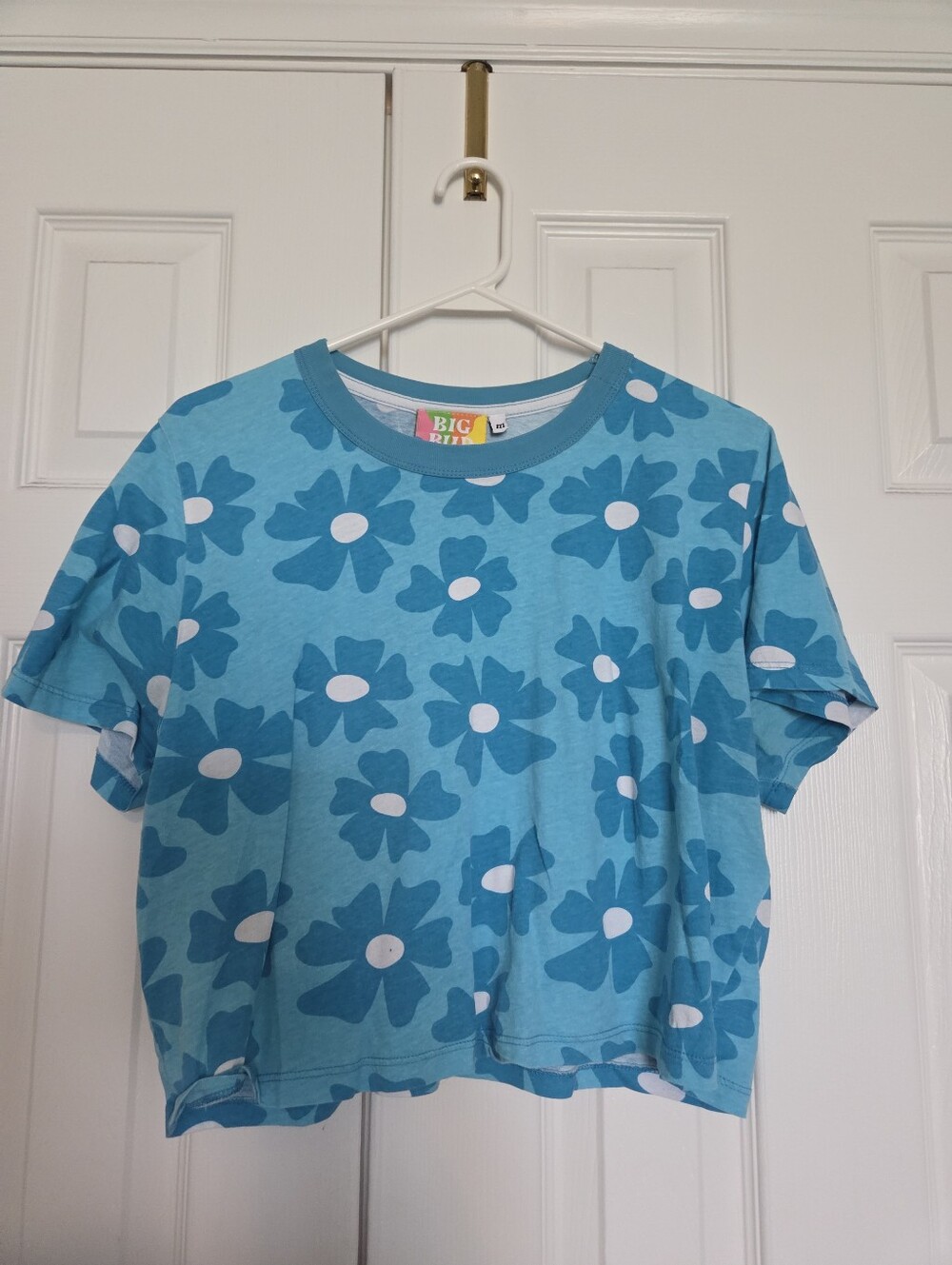 Big Bud Press Blue Floral Crop Top